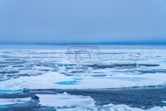1_DSC04268-Edit