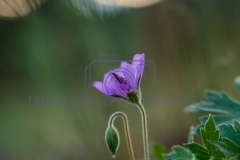 1_DSC00565-Edit